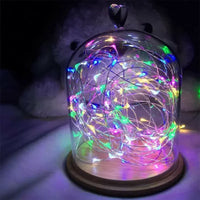 Magische LED Lichterkette in vielen Farben ✨ Perfekt für Weihnachtsbaum, Deko & Garten – 1M bis 30M Länge!